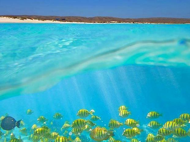 Guide to Enjoying Ningaloo Caravan & Holiday Resort