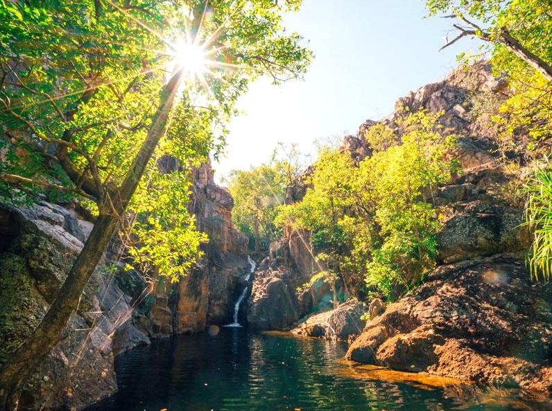 Join a Cultural Workshop: Immersive Experiences in Kakadu