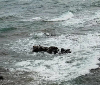 budget road trip ocean cliffs