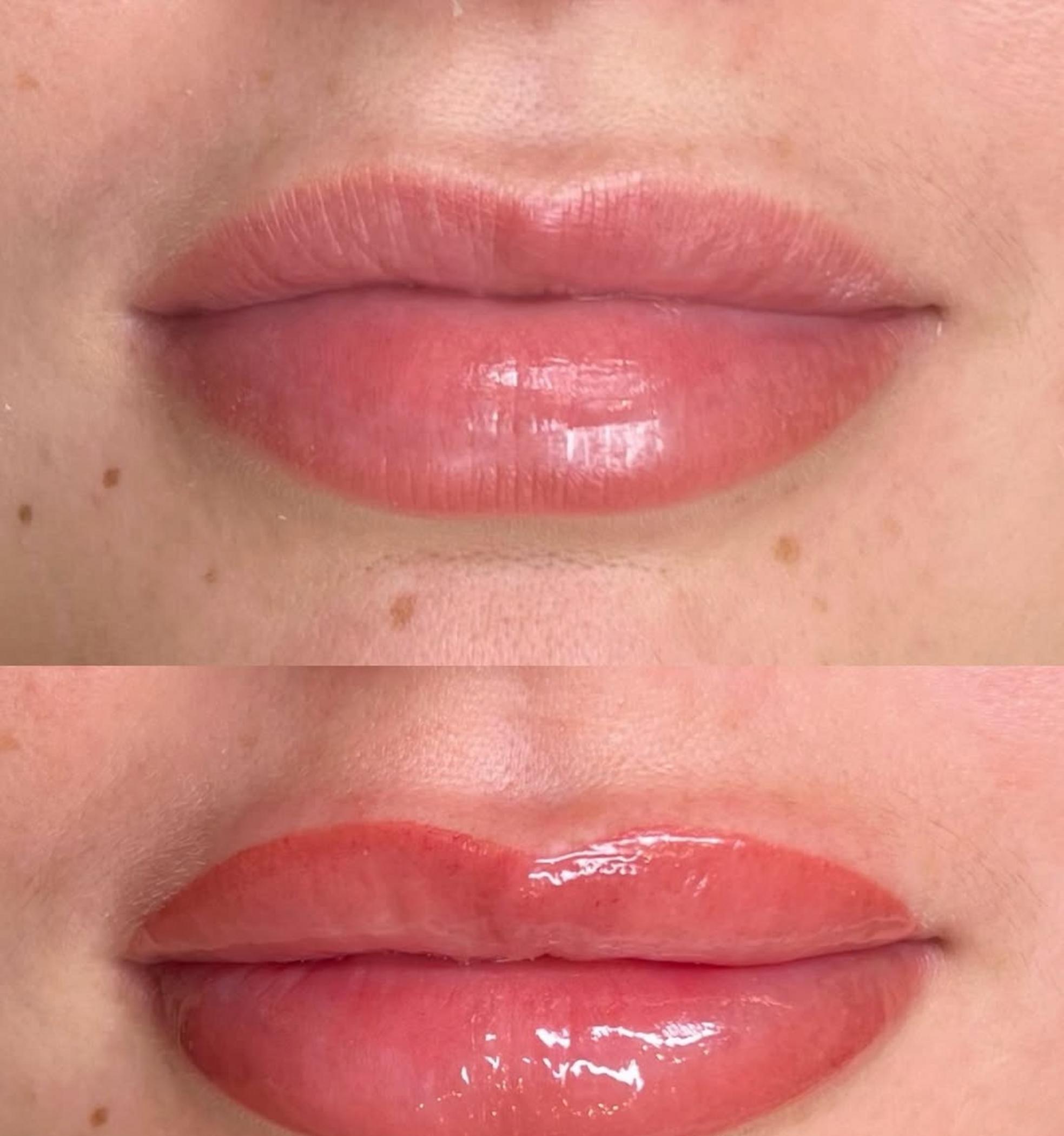 pmu pigment palette lips